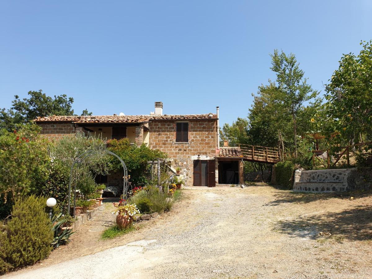 Le Querciolaie Monte Cavallo - Upper Apartment Saturnia Exterior photo